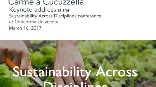 sustainability-across-disciplines_1_orig.jpg